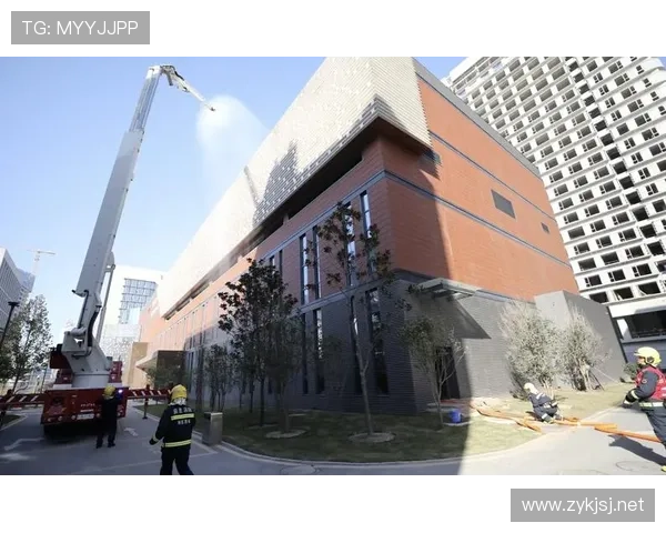 安特卫普防线稳固，近期表现值得关注，提升地区安全与稳定性